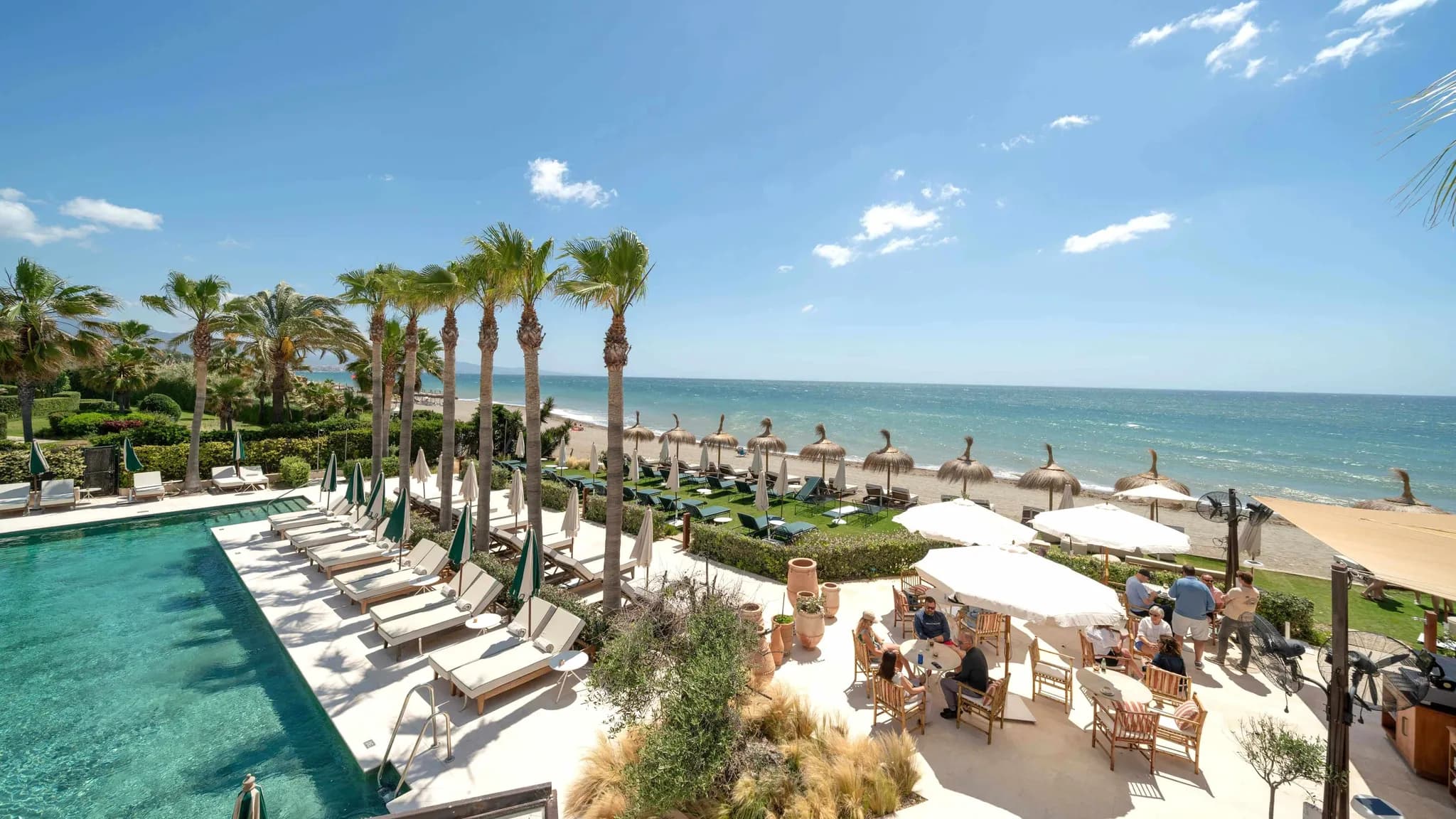 Piscine d'un hôtel en bord de plage, bordée de palmiers et de transats, avec des invités sur la terrasse face à la mer