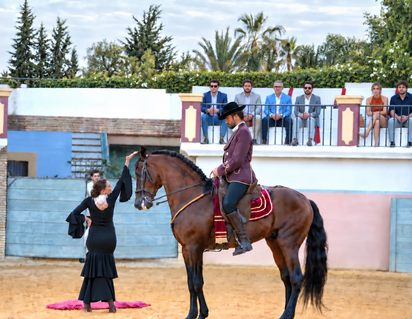 Spectacle équestre dans une arène, avec un cavalier en tenue traditionnelle espagnole et une danseuse de flamenco devant les gradins